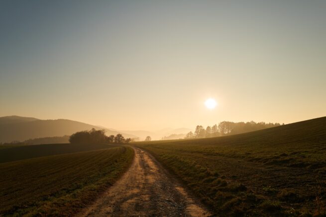 knapp über dem Nebel.