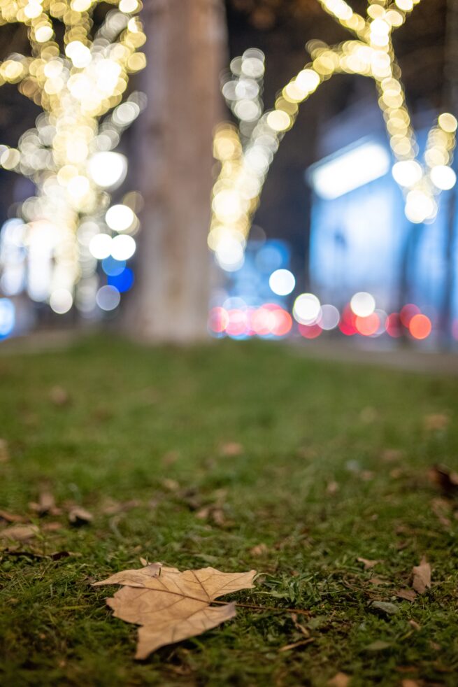 Bunte Lichter erhellen die Nacht.